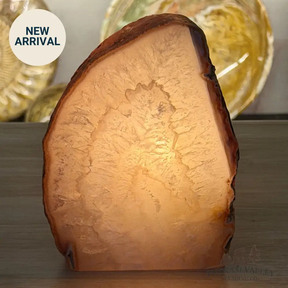 Natural Edge Polished Agate Lamp - Lamp