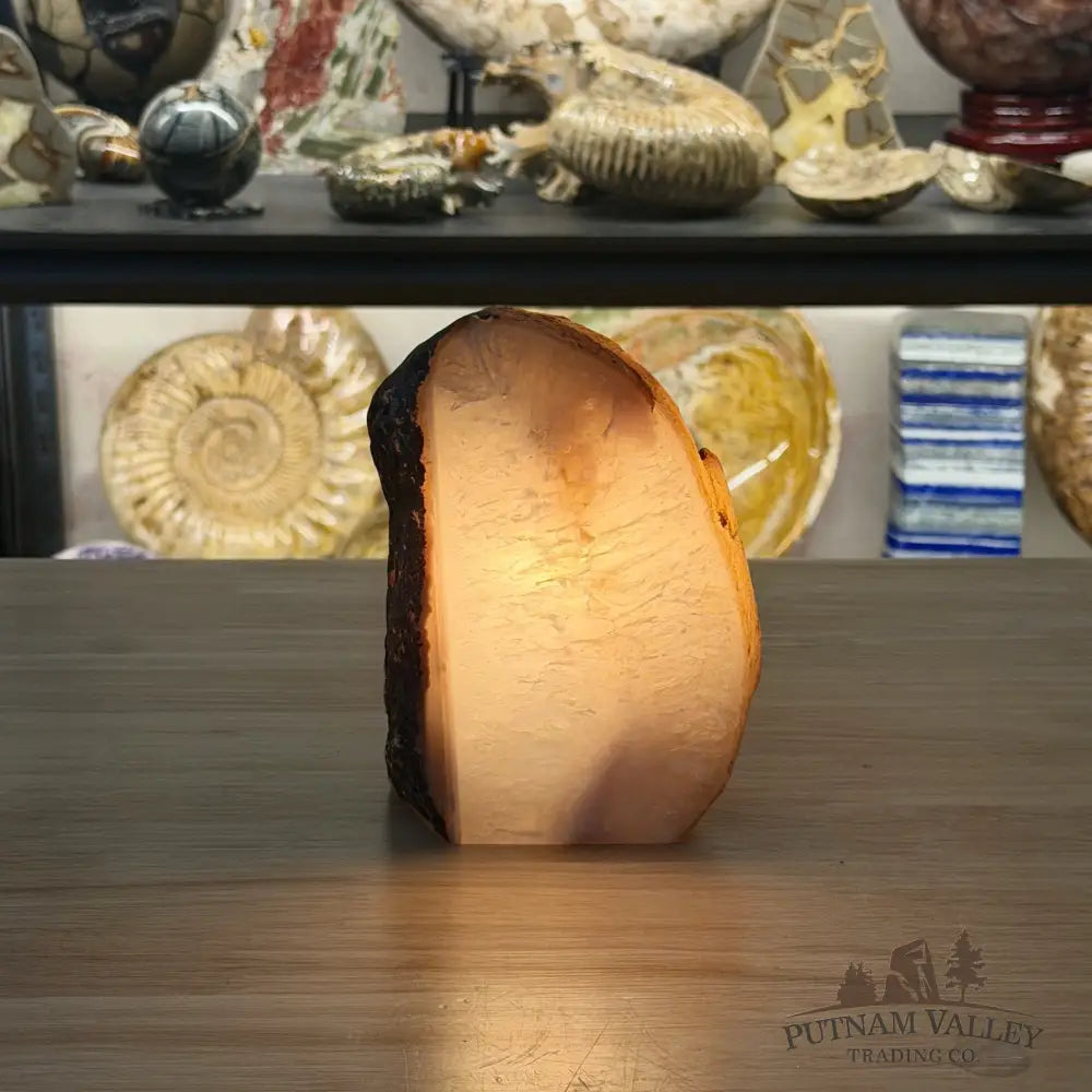 Natural Edge Polished Agate Lamp - Lamp
