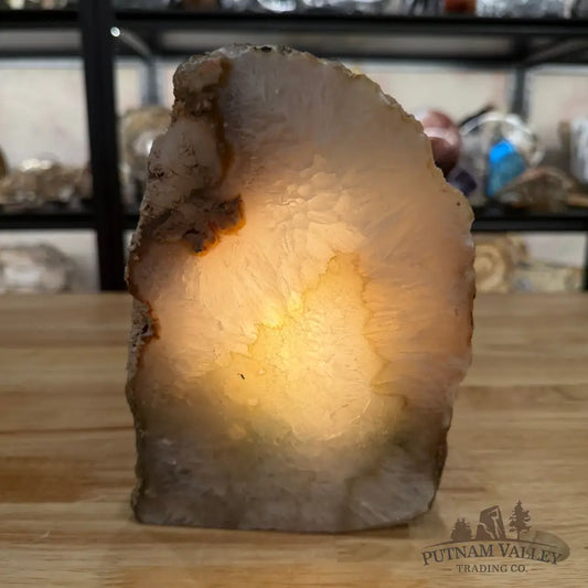 Natural Edge Polished Agate Lamp - Lamp