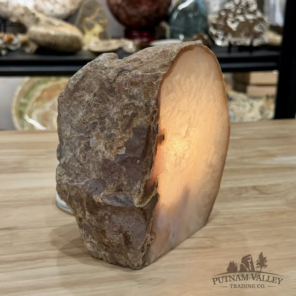 Natural Edge Polished Agate Lamp 5.9lb - Lamp