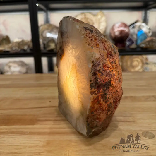 Natural Edge Polished Agate Lamp - Lamp