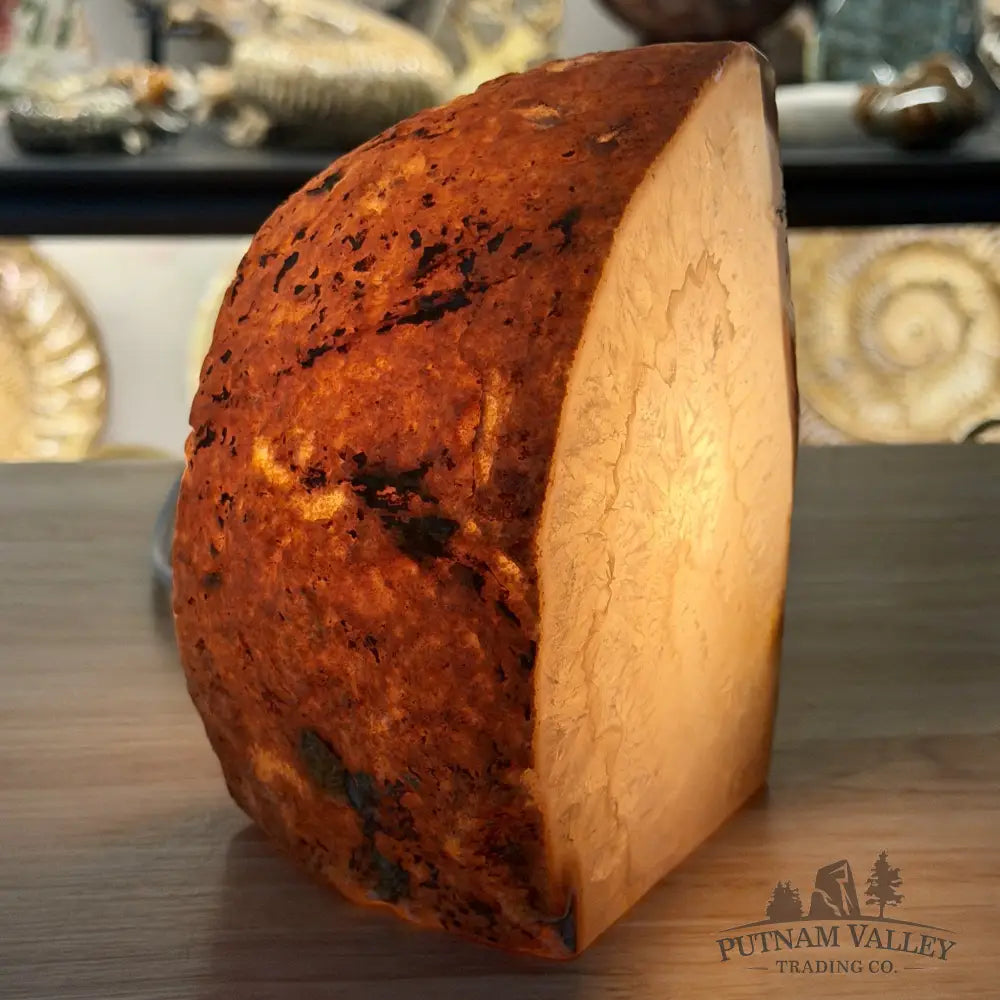 Natural Edge Polished Agate Lamp - Lamp