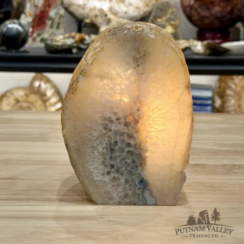 Natural Edge Polished Agate Lamp 6.18lb - Lamp