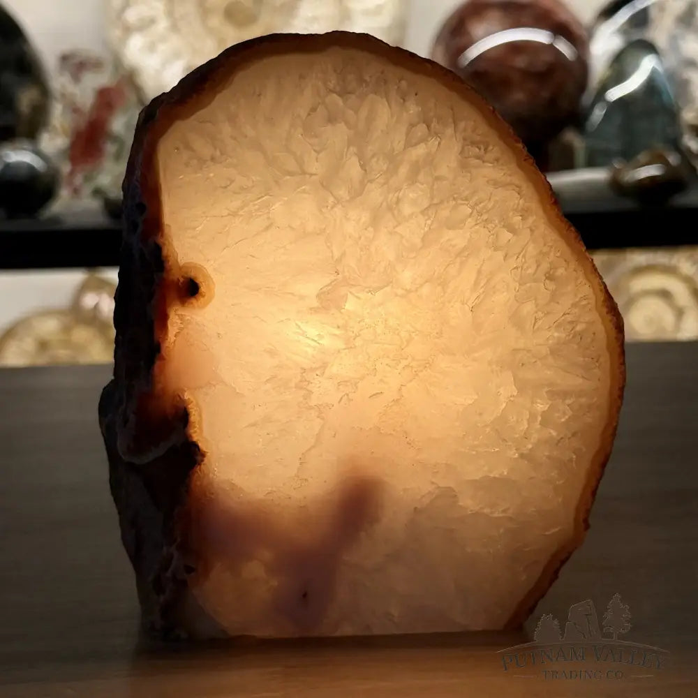 Natural Edge Polished Agate Lamp 5.9lb - Lamp