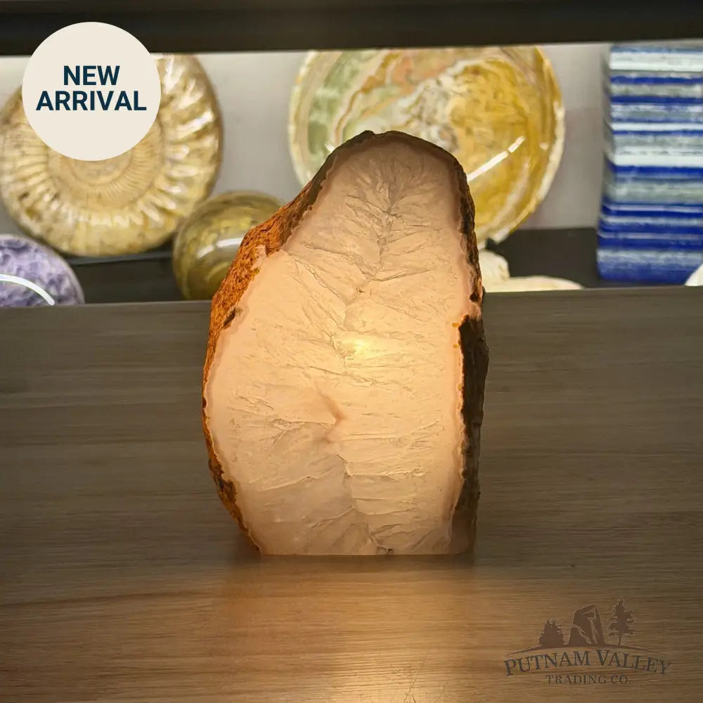 Natural Edge Polished Agate Lamp - Lamp