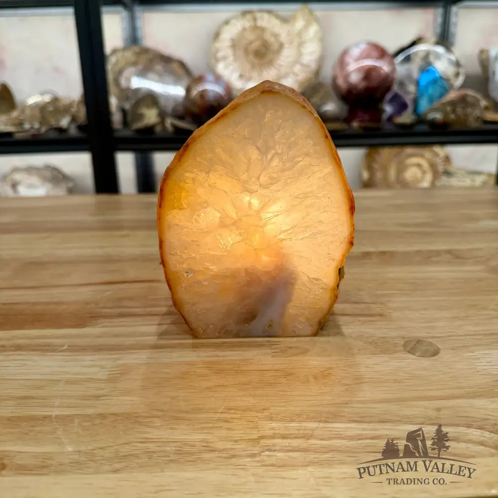 Polished Agate Lamp 5.5’’ - Lamp