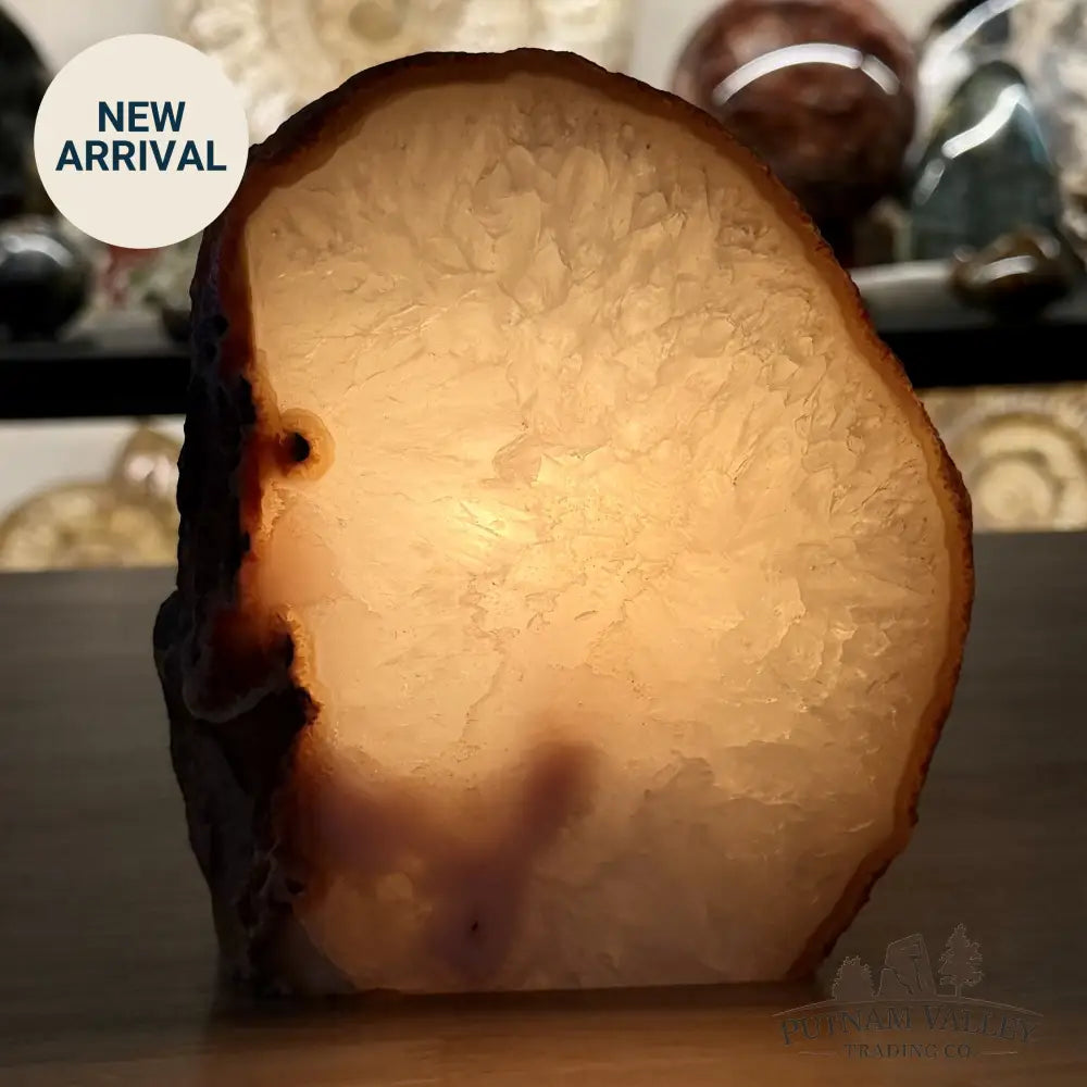 Natural Edge Polished Agate Lamp 5.9lb - Lamp
