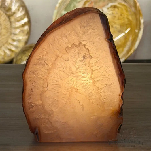 Natural Edge Polished Agate Lamp - Lamp