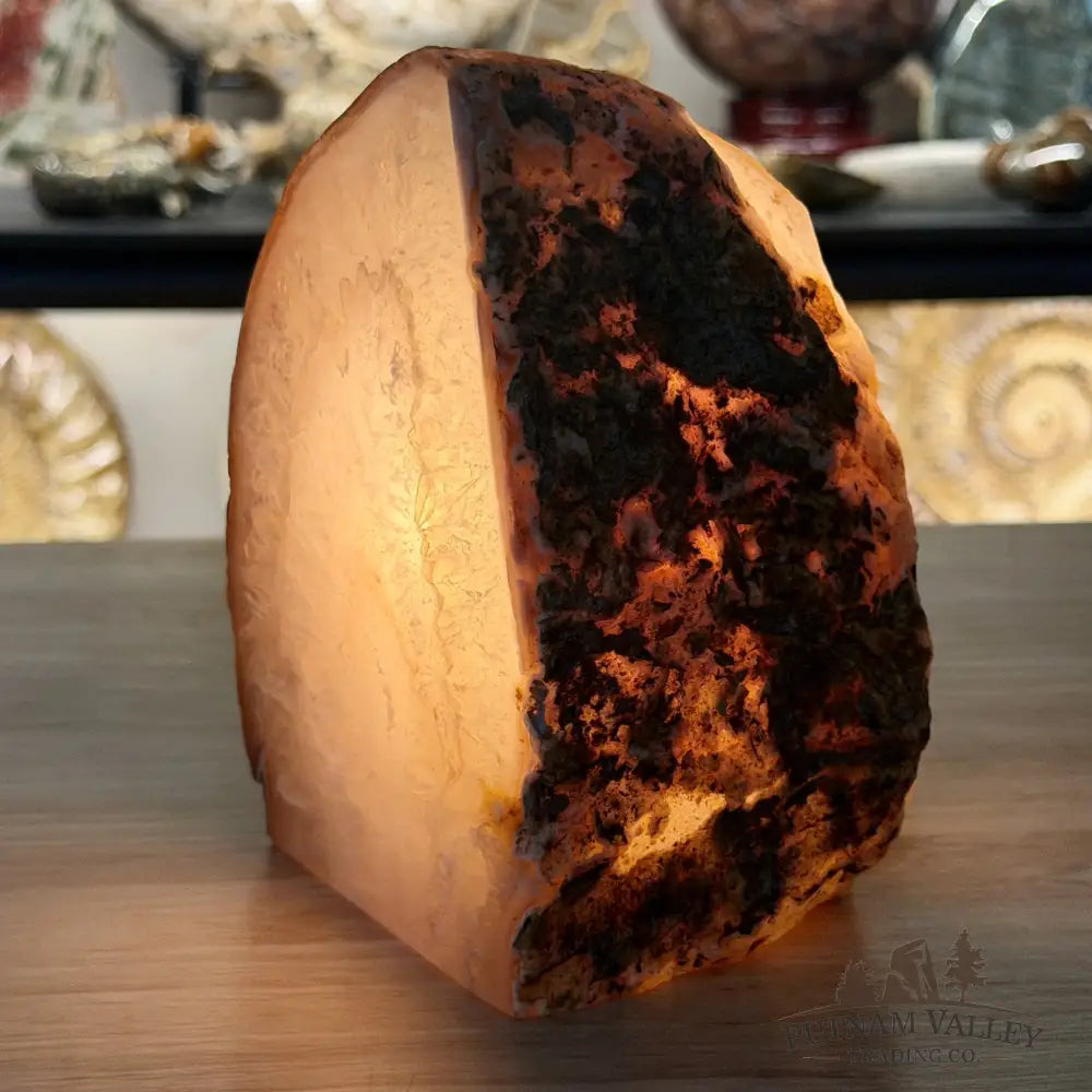 Natural Edge Polished Agate Lamp - Lamp