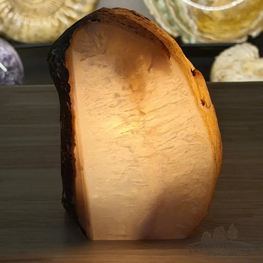 Natural Edge Polished Agate Lamp - Lamp