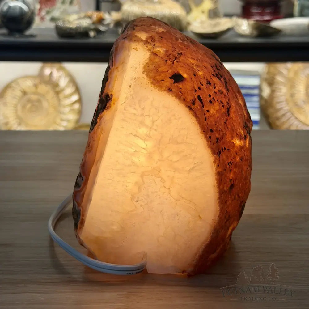 Natural Edge Polished Agate Lamp - Lamp