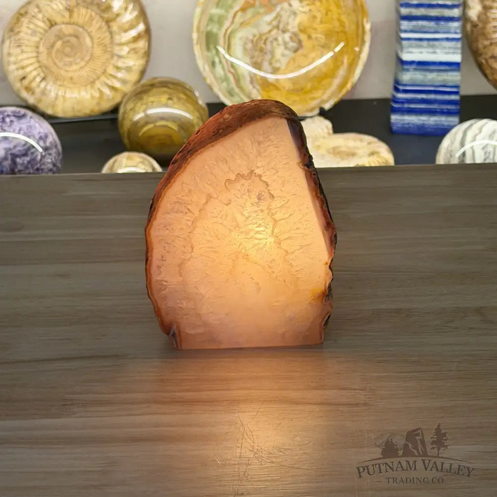 Natural Edge Polished Agate Lamp - Lamp