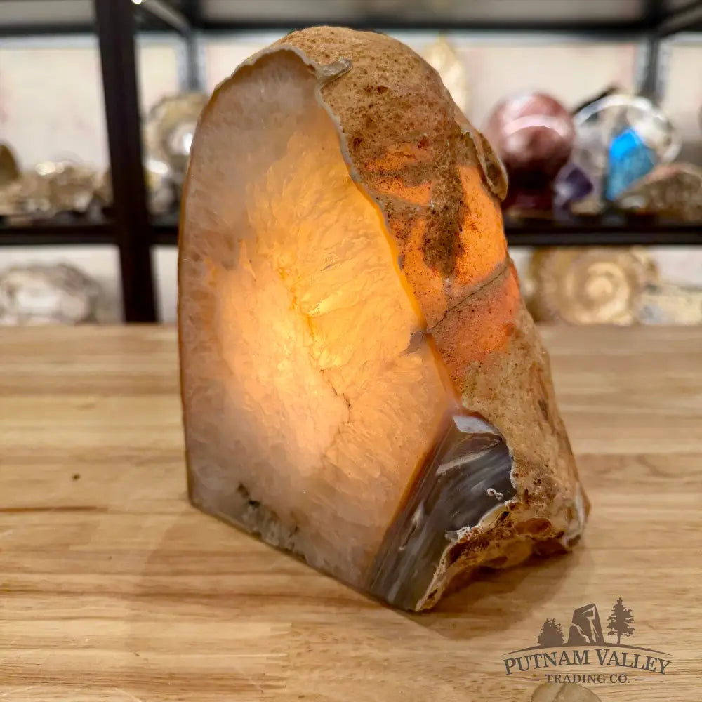 Natural Edge Polished Agate Lamp - Lamp