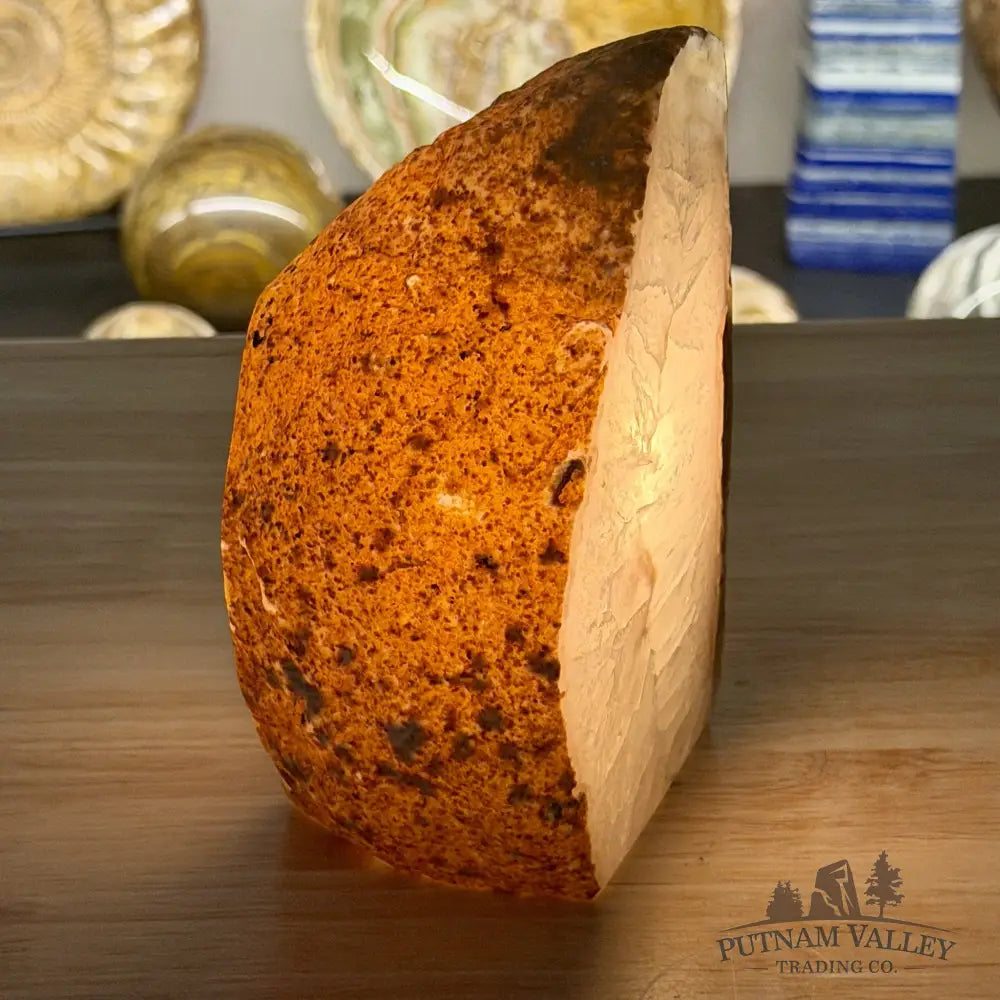 Natural Edge Polished Agate Lamp - Lamp