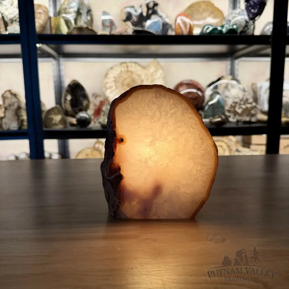 Natural Edge Polished Agate Lamp 5.9lb - Lamp