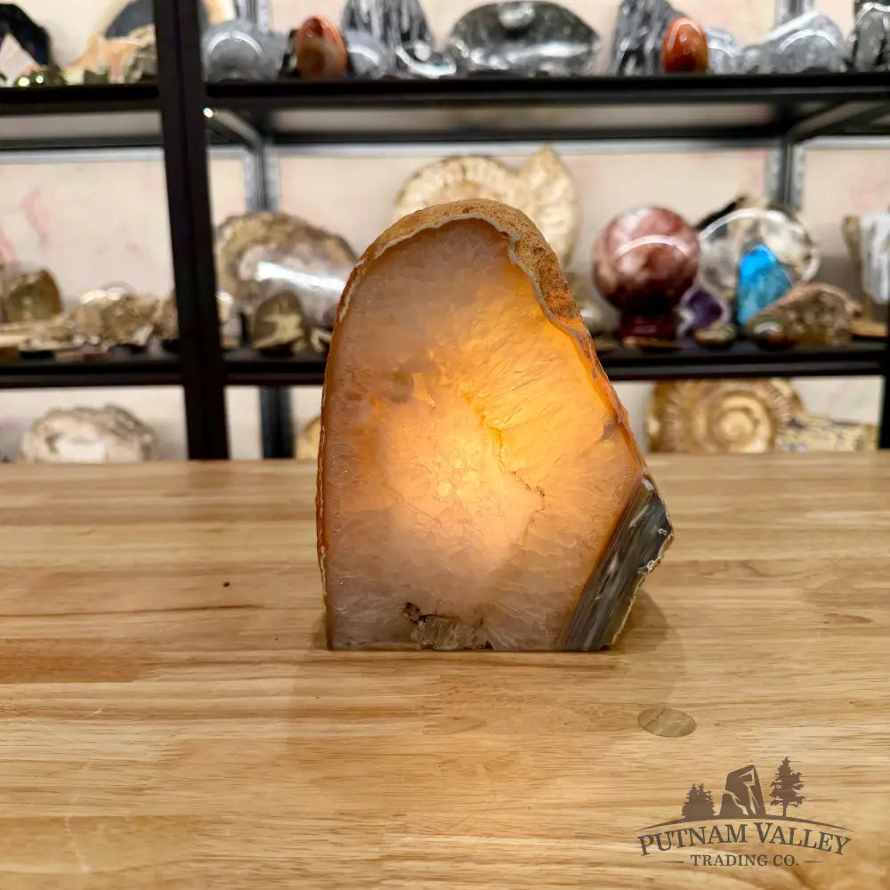 Natural Edge Polished Agate Lamp - Lamp