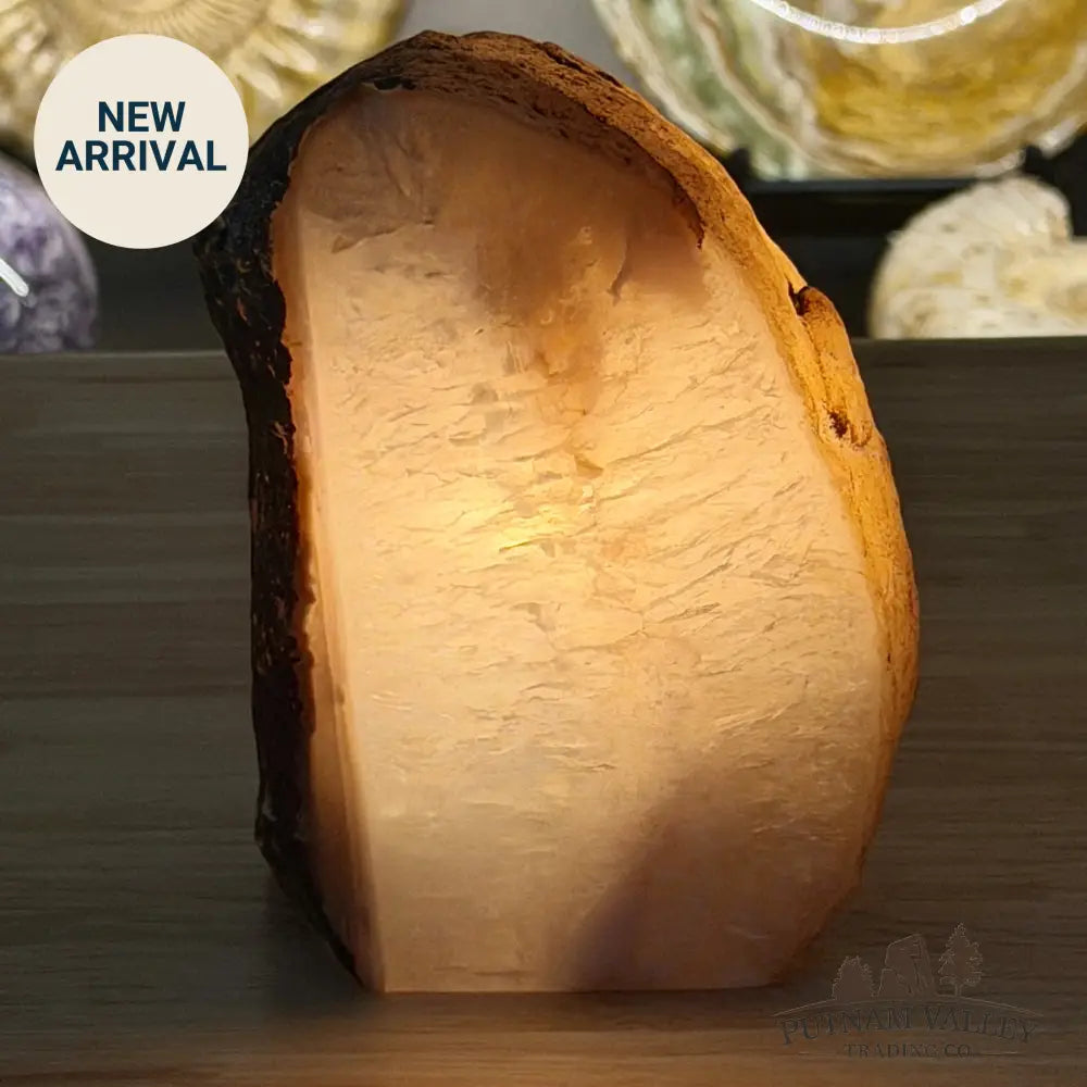 Natural Edge Polished Agate Lamp - Lamp