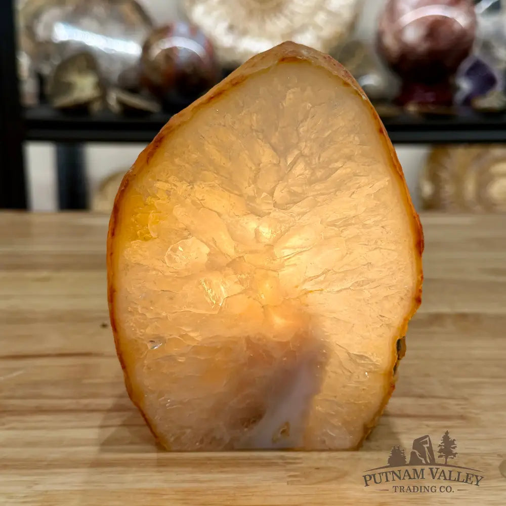 Polished Agate Lamp 5.5’’ - Lamp