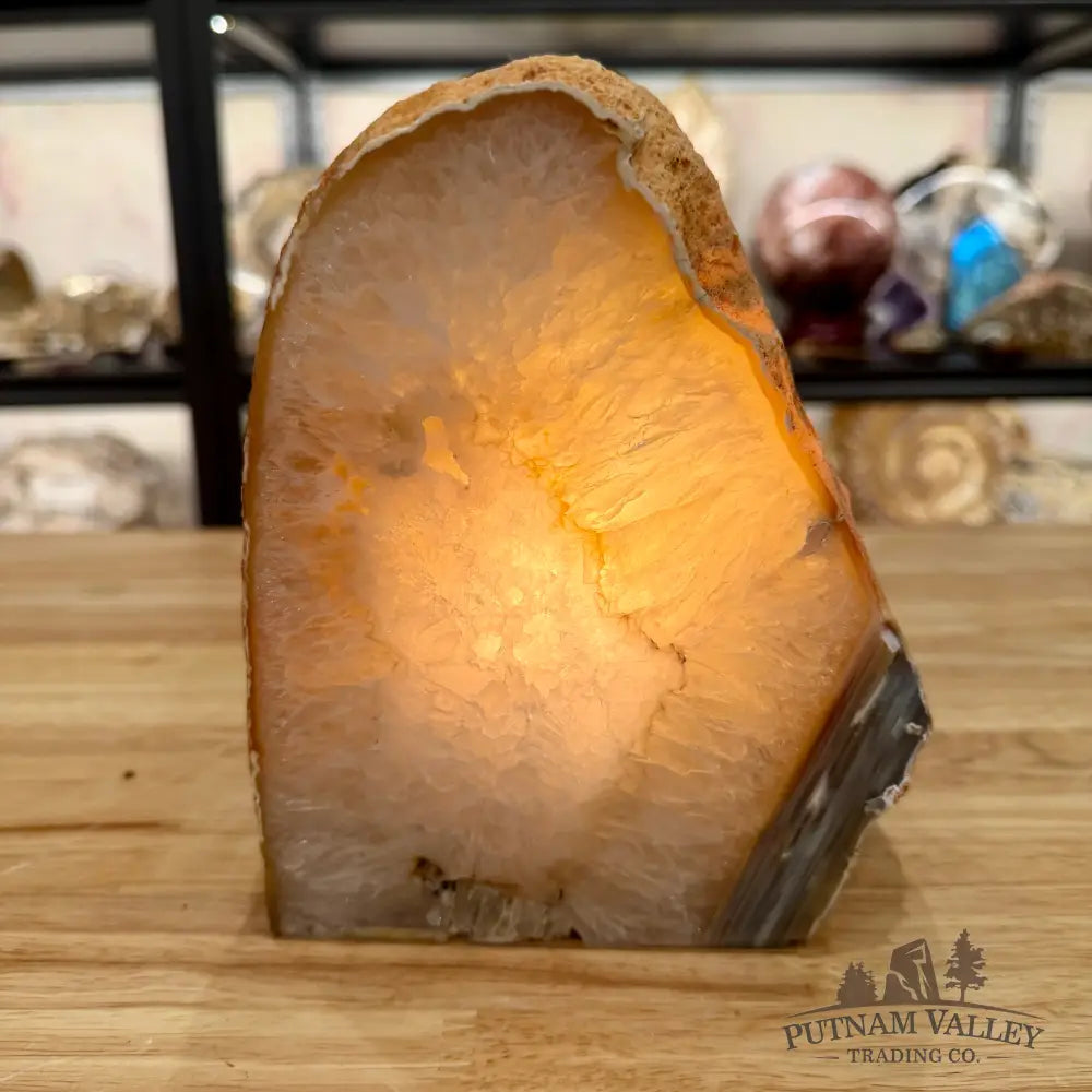 Natural Edge Polished Agate Lamp - Lamp