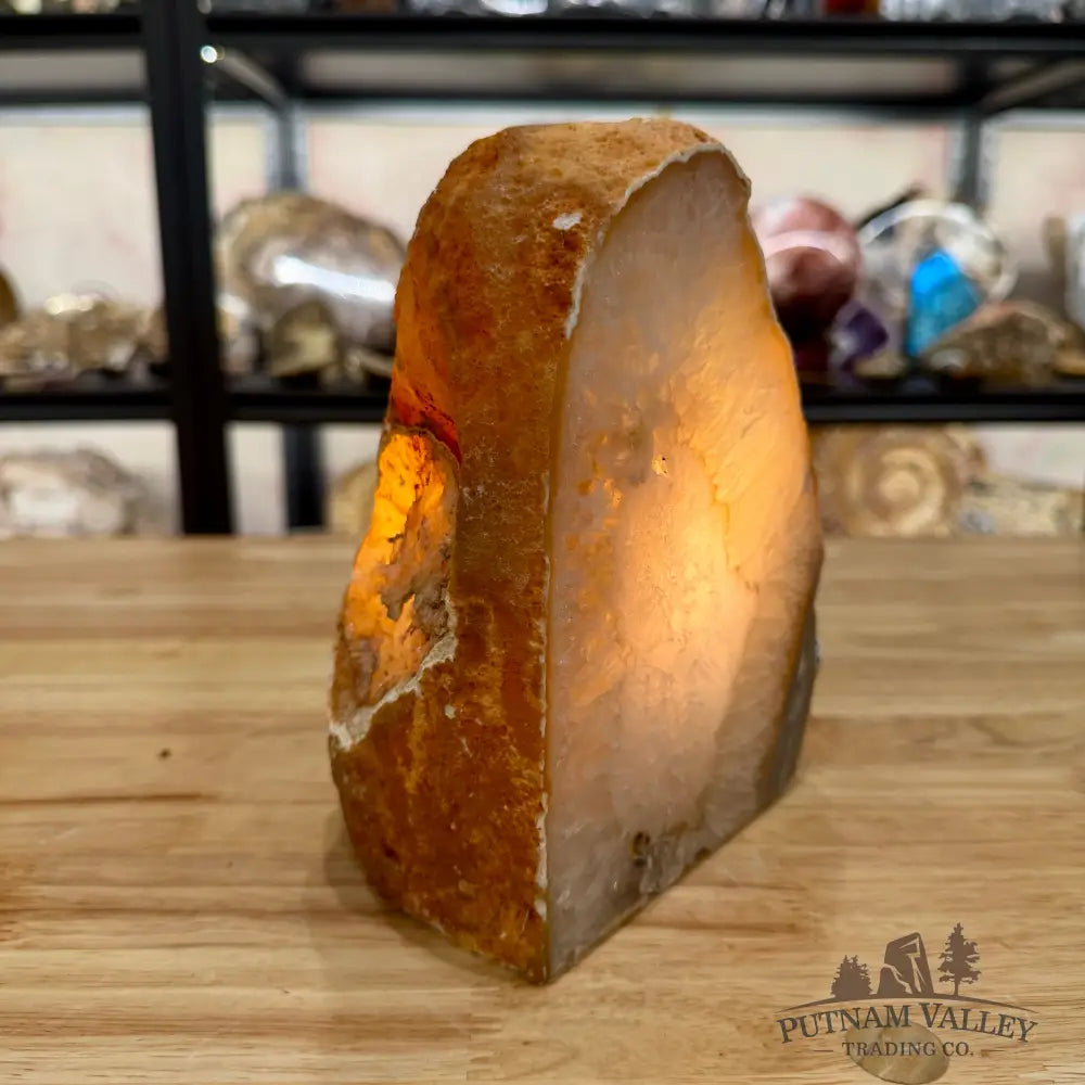 Natural Edge Polished Agate Lamp - Lamp