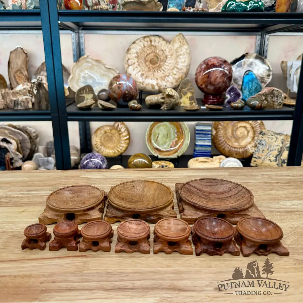 Natural Wood Sphere Stand, With Feet - Stands & Accessories
