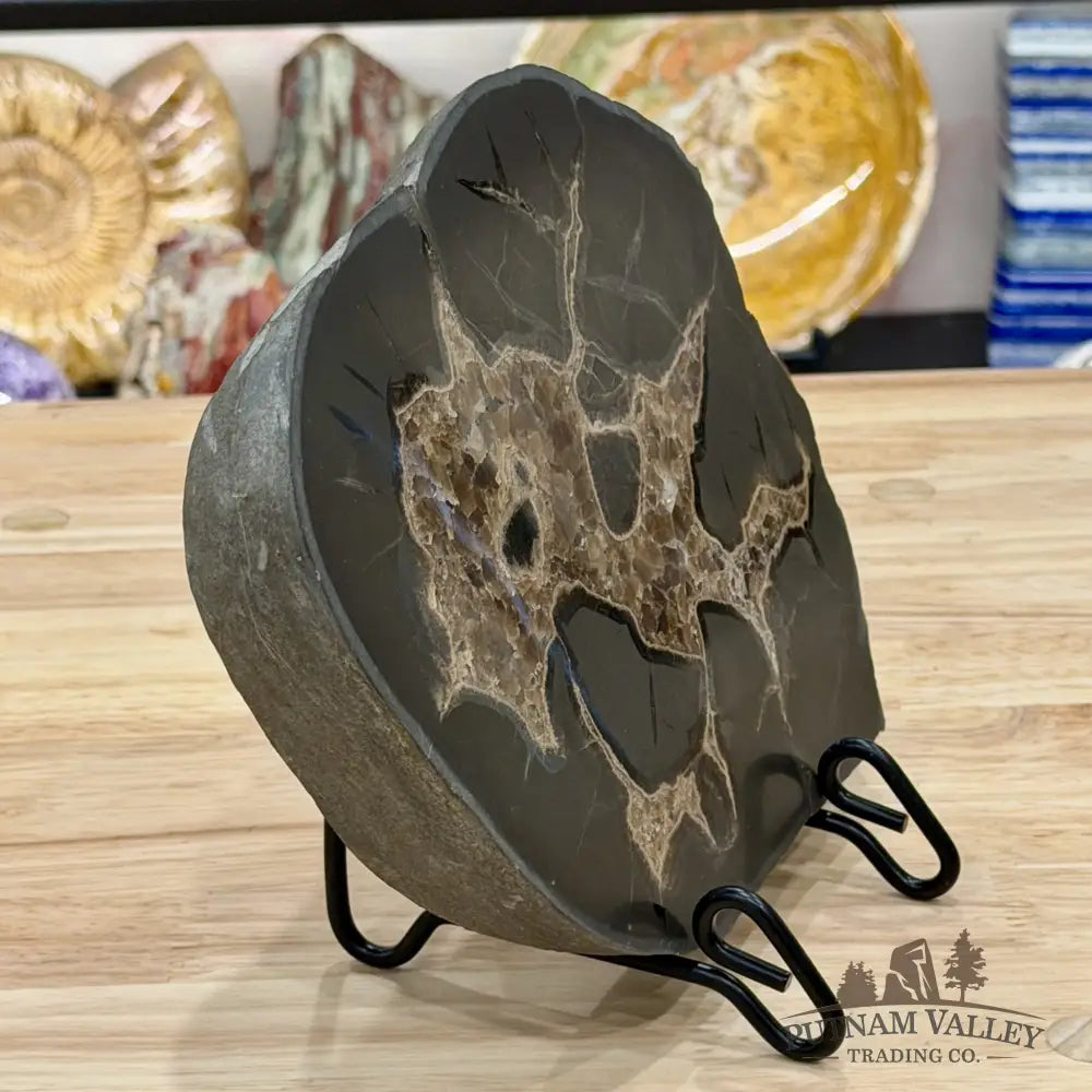 Northern Utah Septarian Slab 9.2’’ - Accent