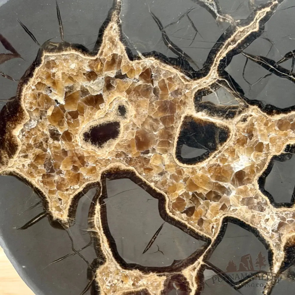 Northern Utah Septarian Slab 9.2’’ - Accent