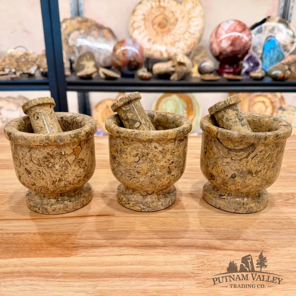 Fossil Marble Mortar & Pestle - Medium - Fossil Bowl