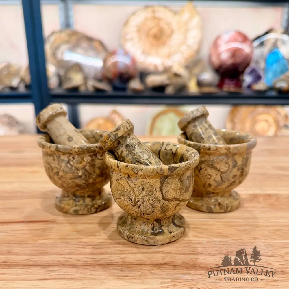 Fossil Marble Mortar & Pestle - Small - Fossil Bowl
