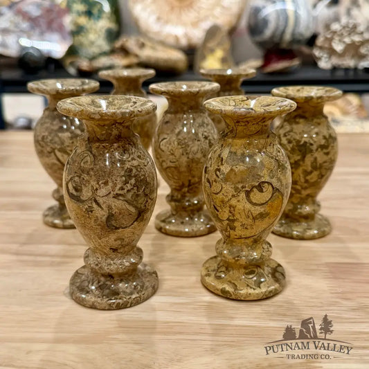 Oceanic Fossil Marble Vase 4’’ - Vase