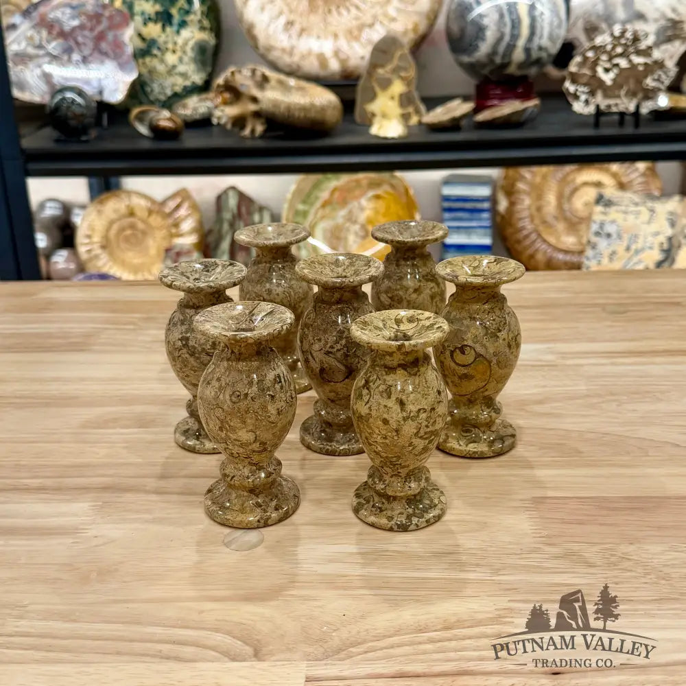 Oceanic Fossil Marble Vase 4’’ - Vase