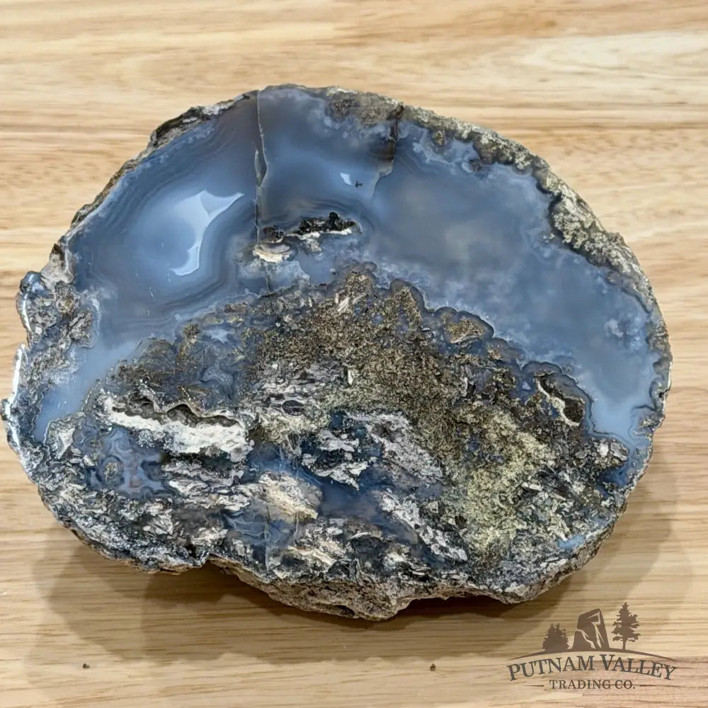 Oregon Blue-Gray Agate Thunderegg Half 4.5’’ - Accent
