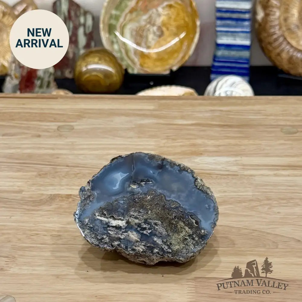 Oregon Blue-Gray Agate Thunderegg Half 4.5’’ - Accent