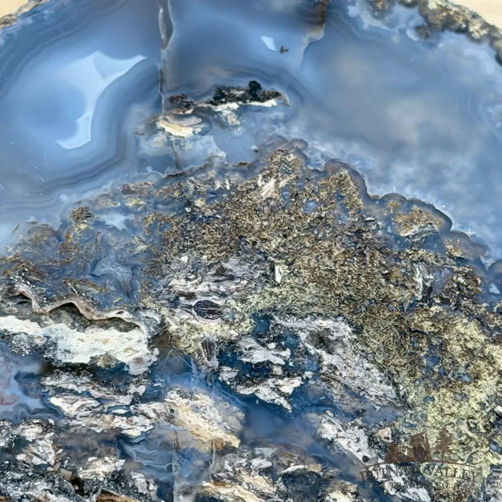 Oregon Blue-Gray Agate Thunderegg Half 4.5’’ - Accent