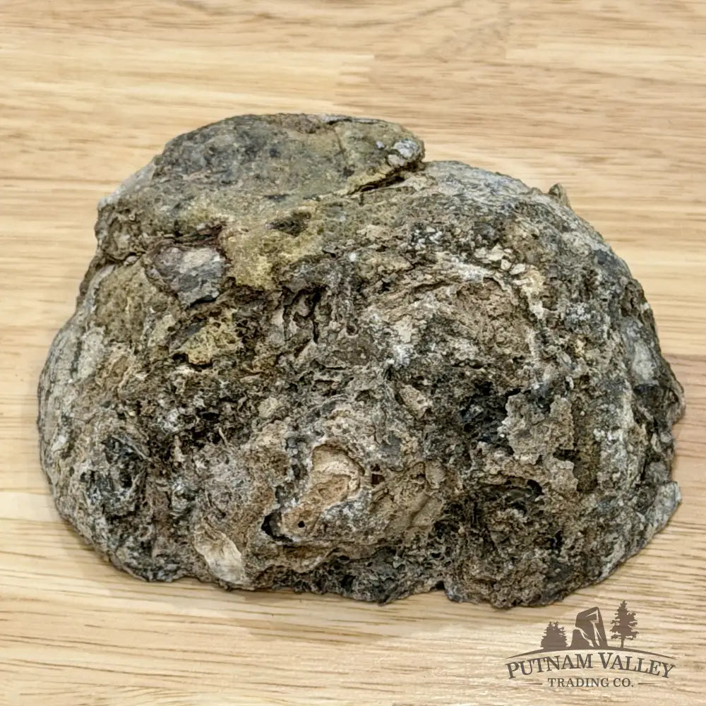 Oregon Blue-Gray Agate Thunderegg Half 4.5’’ - Accent