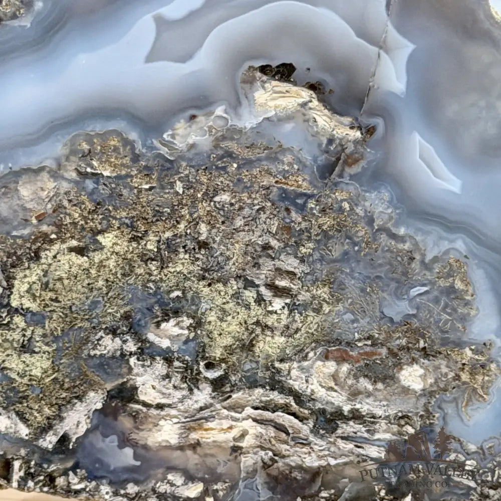 Oregon Blue-Gray Agate Thunderegg Half 4.64’’ - Accent