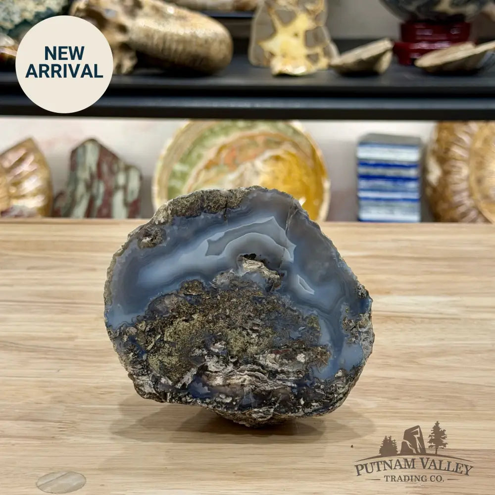Oregon Blue-Gray Agate Thunderegg Half 4.64’’ - Accent