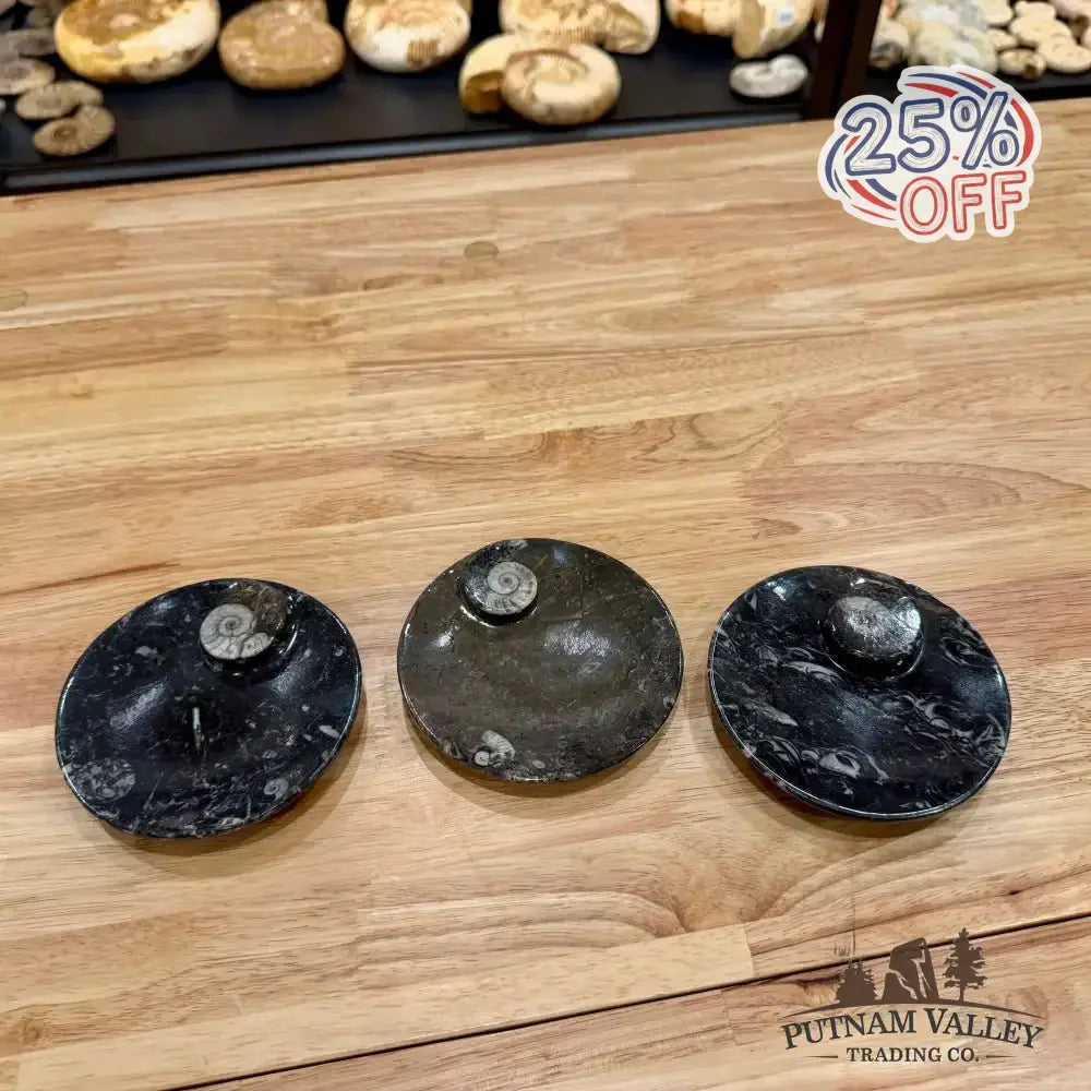 Ammonite Fossil Round Plate - Putnam Valley Trading Co.