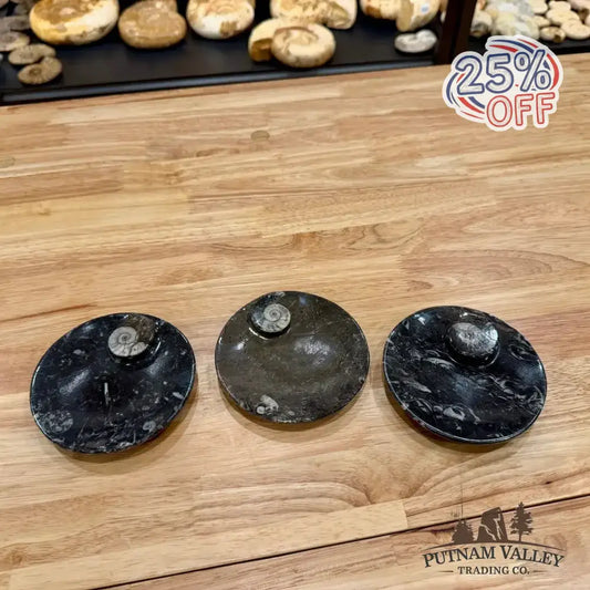 Ammonite Fossil Round Plate - Putnam Valley Trading Co.