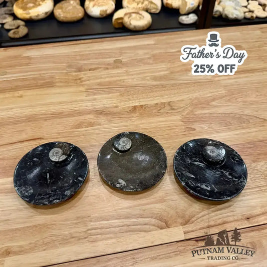 Ammonite Fossil Round Plate - Putnam Valley Trading Co.