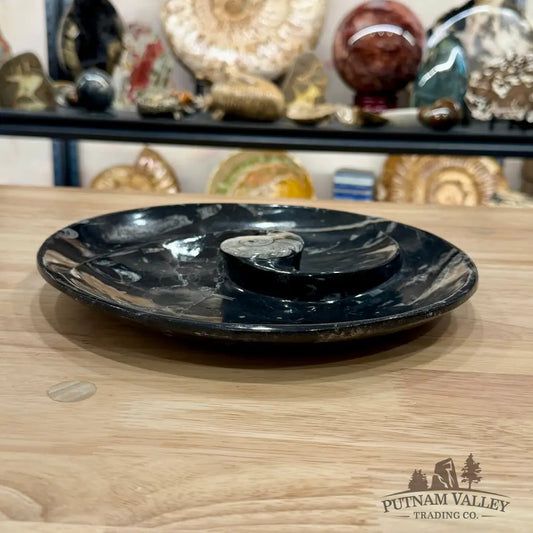 Orthoceras & Ammonite Fossil Serving Plate 10’’ 6 - Fossil Plates