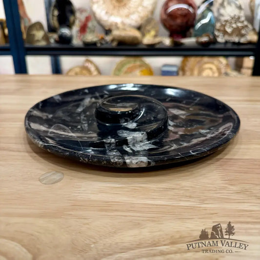 Orthoceras & Ammonite Fossil Serving Plate 10’’ 3 - Fossil Plates