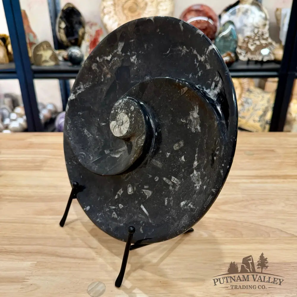 Orthoceras & Ammonite Fossil Serving Plate 10’’ 5 - Fossil Plates