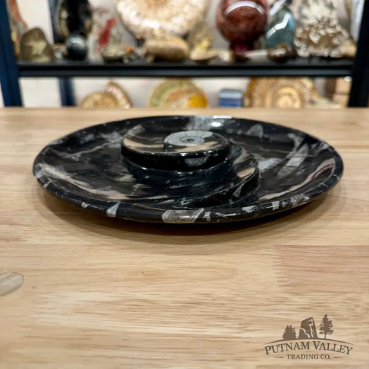 Orthoceras & Ammonite Fossil Serving Plate 10’’ 2 - Fossil Plates