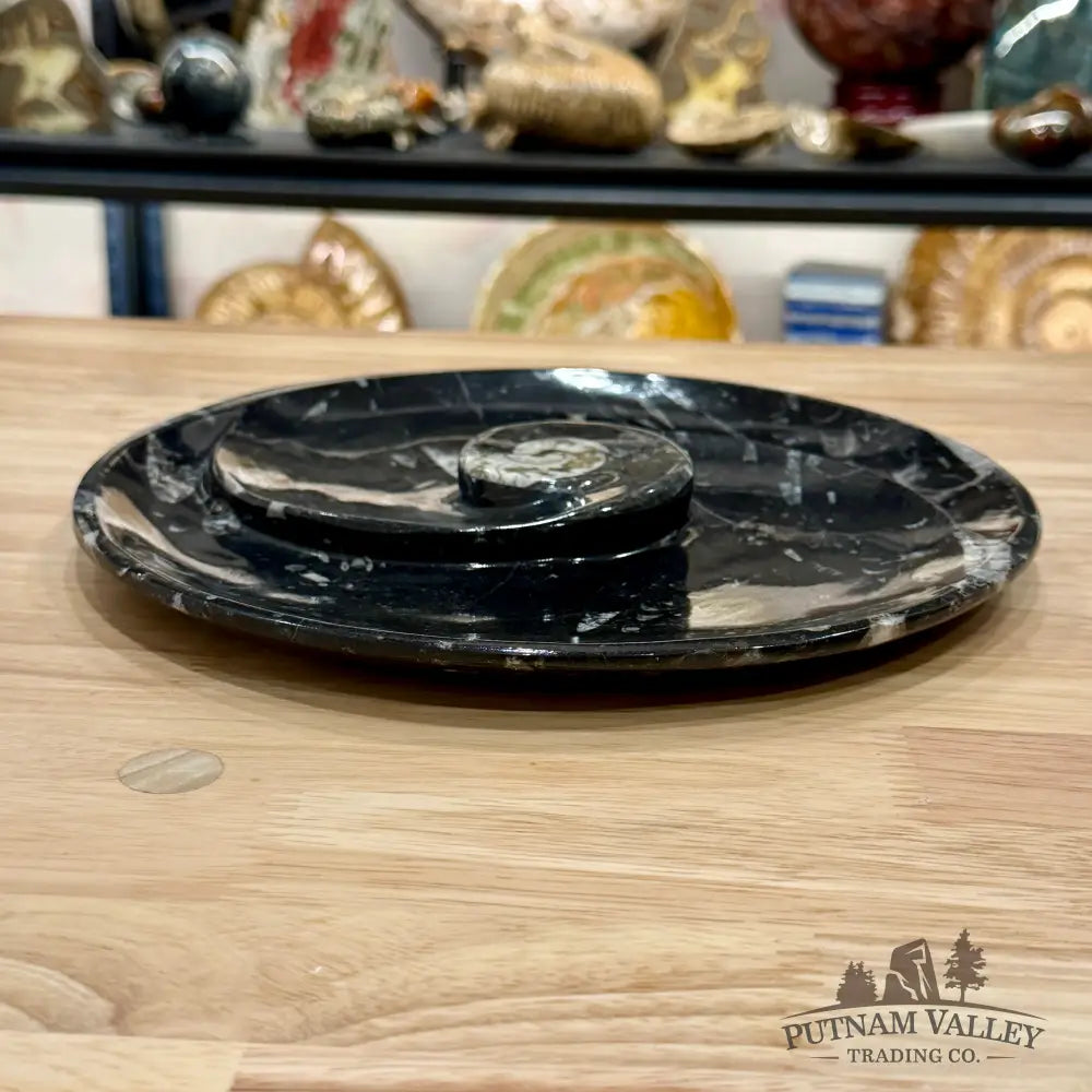 Orthoceras & Ammonite Fossil Serving Plate 10’’ - Fossil Plates