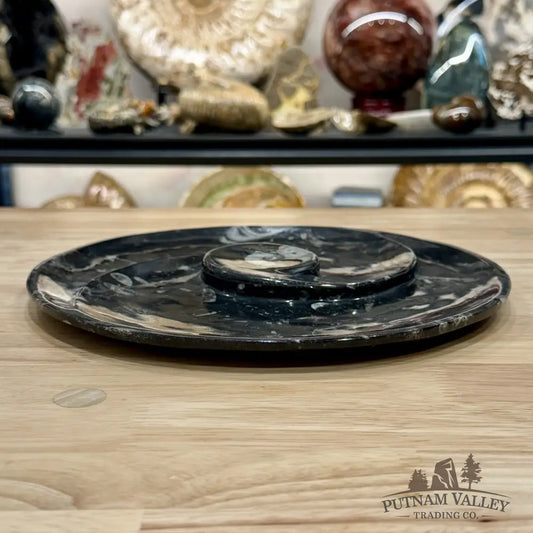 Orthoceras & Ammonite Fossil Serving Plate 10’’ - Fossil Plates