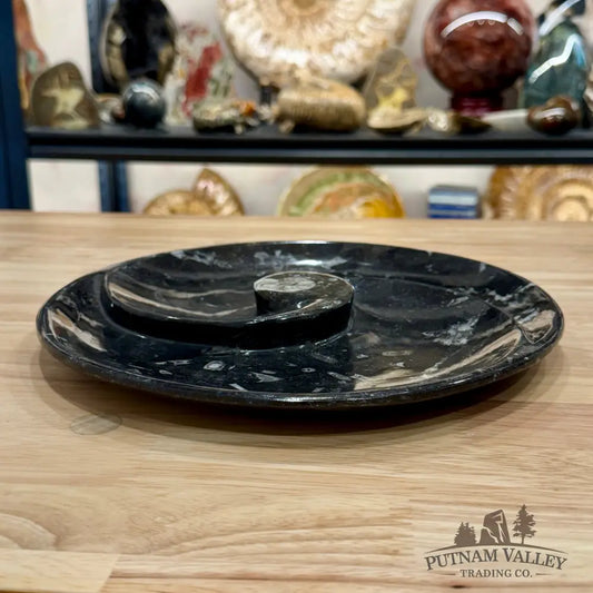 Orthoceras & Ammonite Fossil Serving Plate 10’’ 5 - Fossil Plates