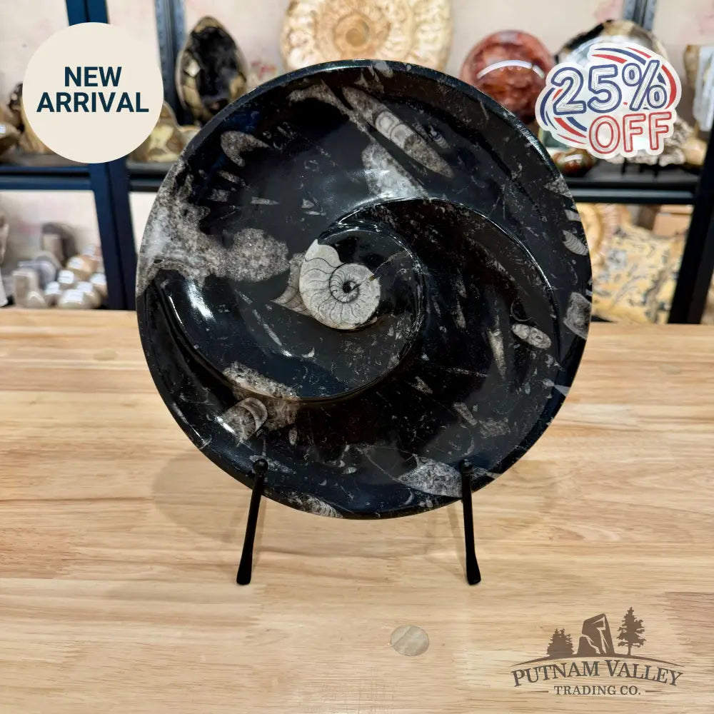 Orthoceras & Ammonite Fossil Serving Plate 10’’ 2 - Fossil Plates