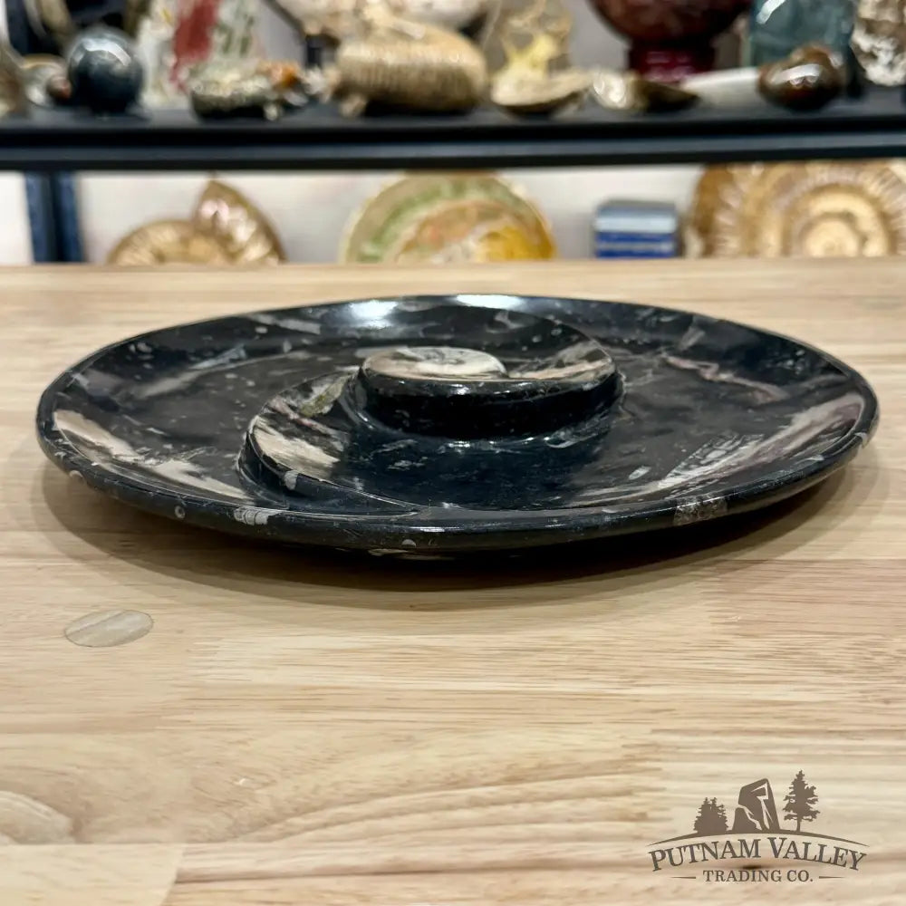 Orthoceras & Ammonite Fossil Serving Plate 10’’ - Fossil Plates