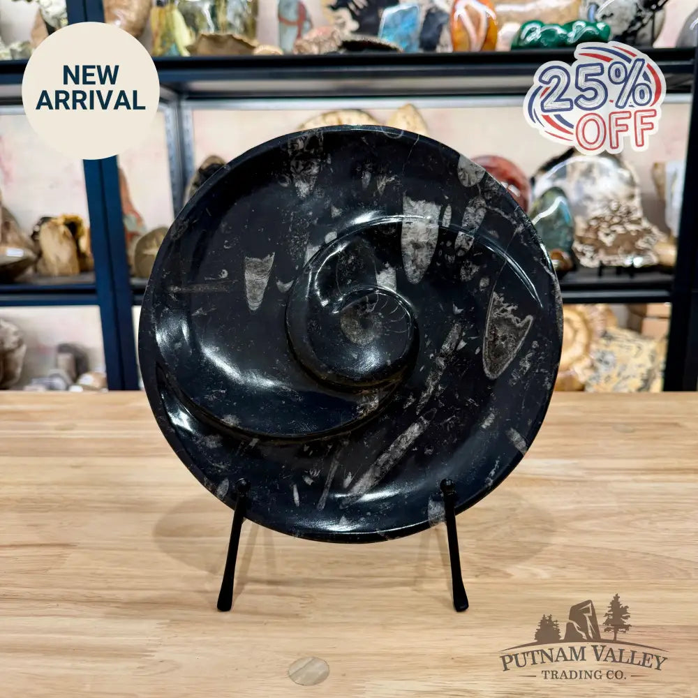 Orthoceras & Ammonite Fossil Serving Plate 10’’ 3 - Fossil Plates